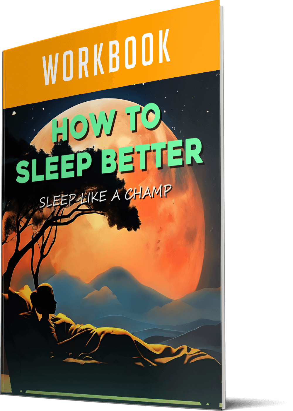 Workbook